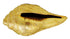 Brass Vishnu Shankh Statue 1.55Kg